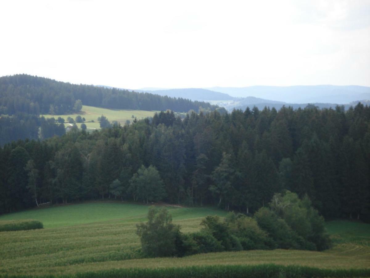 Haus Hoenigsgrub Rinchnach 외부 사진
